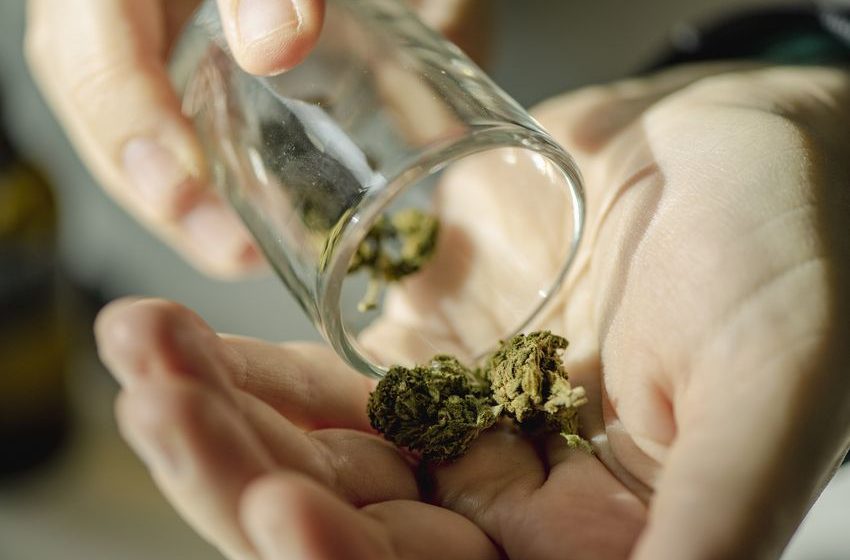  US Marijuana Industry Hits All-Time High