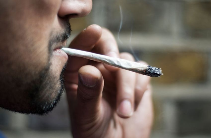 Germany legalises cannabis for recreational use despite opposition