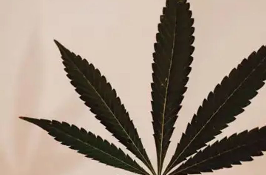  Cannabis Chart Of The Week: How Much Are U.S. MSOs Undervalued Compared To Other Industries?