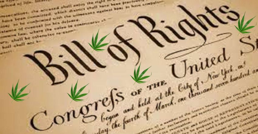  Does the Constitution Protect the Right To Get High?