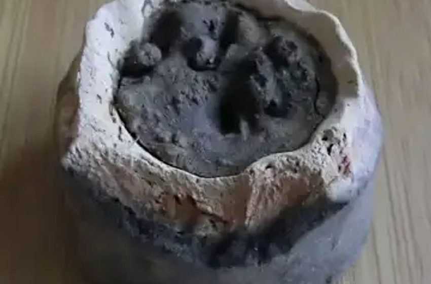  Mysterious burnt seeds found in Roman pot may be cannabis