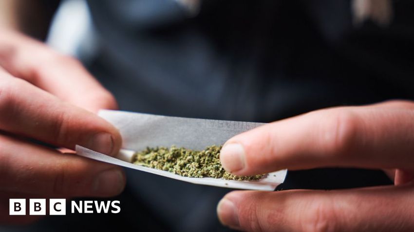 Move over beer – Germany decriminalises cannabis