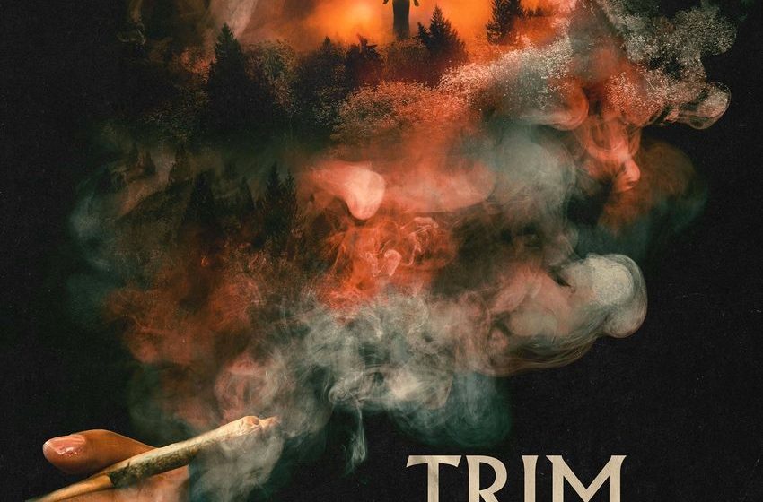  Scary Trailer for ‘Trim Season’ North Cali Marijuana Farm Horror Film