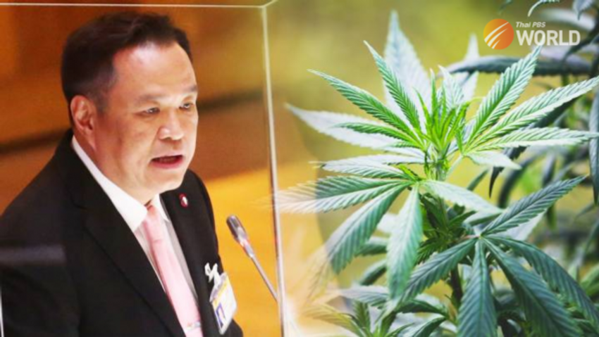  Anutin claims party was “double-crossed” in parliament over cannabis bill