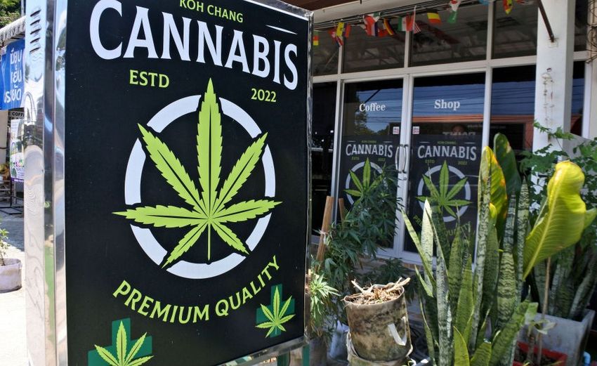  Thailand’s Cannabis Re-Criminalization Risks Street Protests and Industry Lawsuits