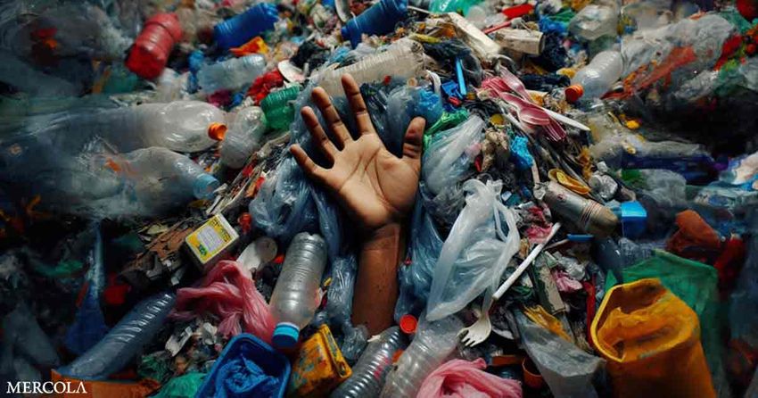  ‘We’re All Plastic People Now’: A Groundbreaking Documentary