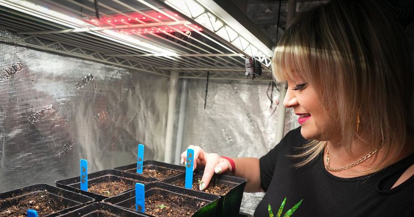  Minnesota hemp businesses feeling burned by Lucky Leaf cannabis expo organizers