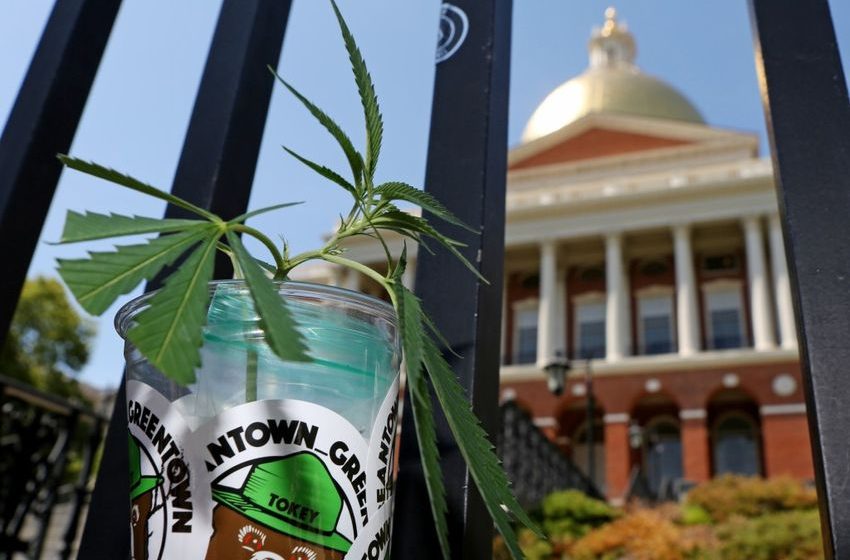  $187,000 marijuana top job opens up to nationwide search in Massachusetts