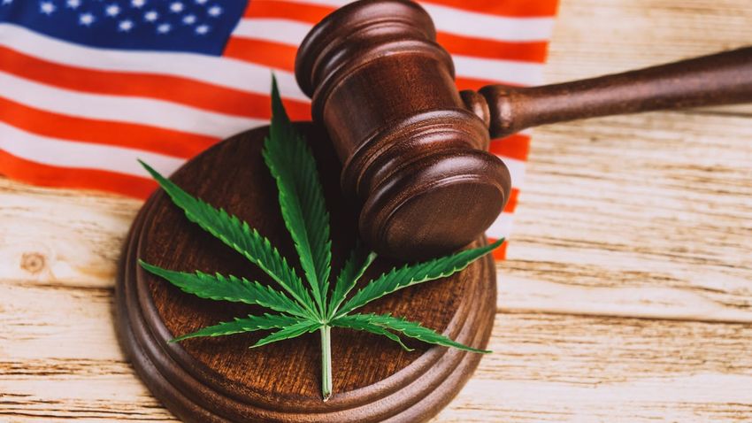  Which States Have Legalized Marijuana for Recreational or Medical Use? – CNET