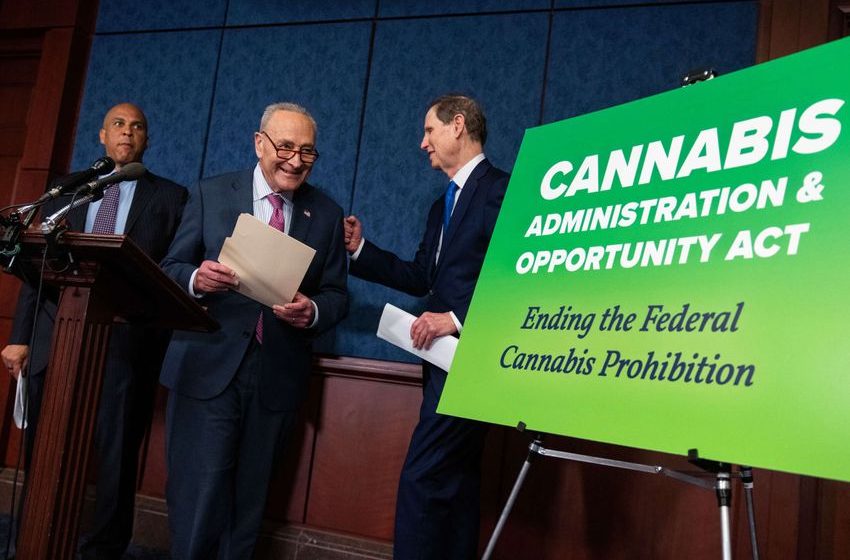  Democratic Senators Submit Bill to Decriminalize Marijuana Use