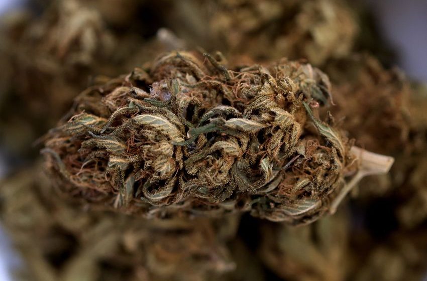  Marijuana Reclassification Puts Politics and Profits Ahead of Public Health | Opinion
