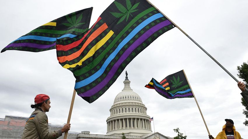  Forbes Daily: Weed Stocks Light Up After DEA Reclassification