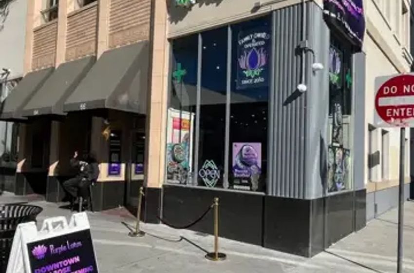  Purple Lotus cannabis dispensary draws customers to downtown San Jose