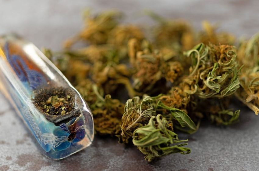  High-Potency Cannabis Linked to Increased Psychosis Risk in Young Adults: Study