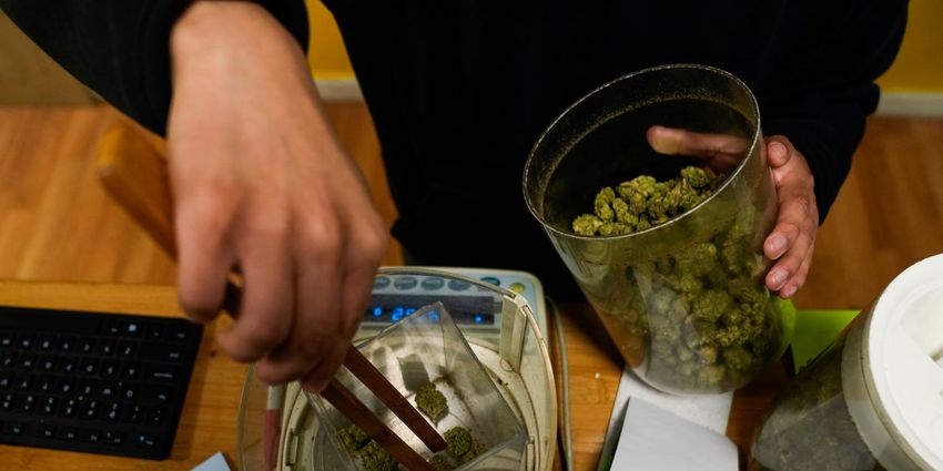  Will Looser Marijuana Rules Help Biden Move the Needle With Young Voters? (Wall Street Journal)