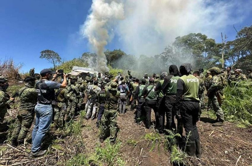  NOLCOM, AFP Highlights Efforts In Marijuana Eradication Operation