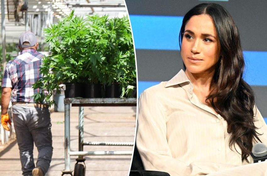  Meghan Markle filming Netflix show on California cannabis farm embroiled in controversy: report