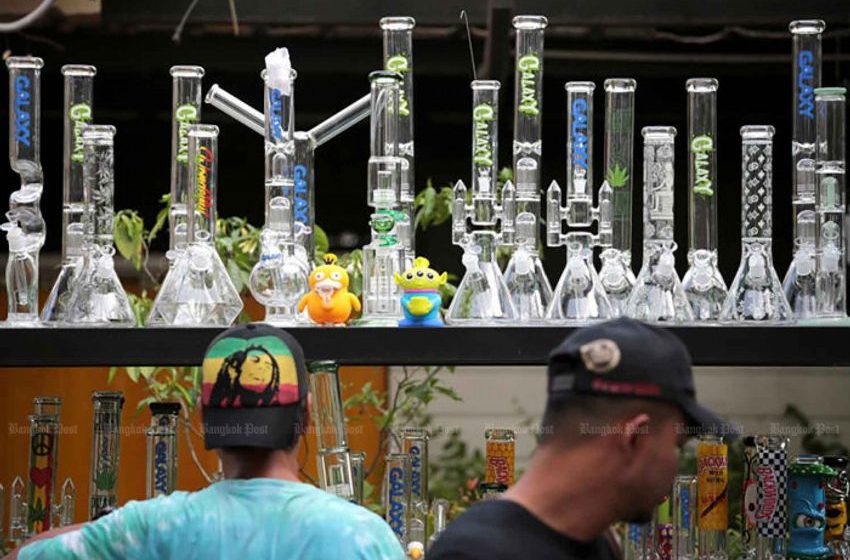  Pro-weed groups put heat on govt