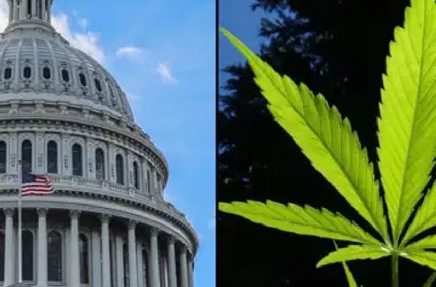  Marijuana rescheduling will make republicans ‘more comfortable’ voting for banking and other reforms, former GOP congressman says