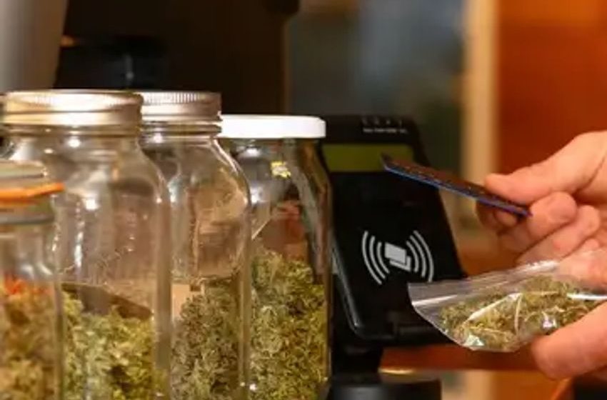 What feds’ new cannabis policy could mean for WA weed shops