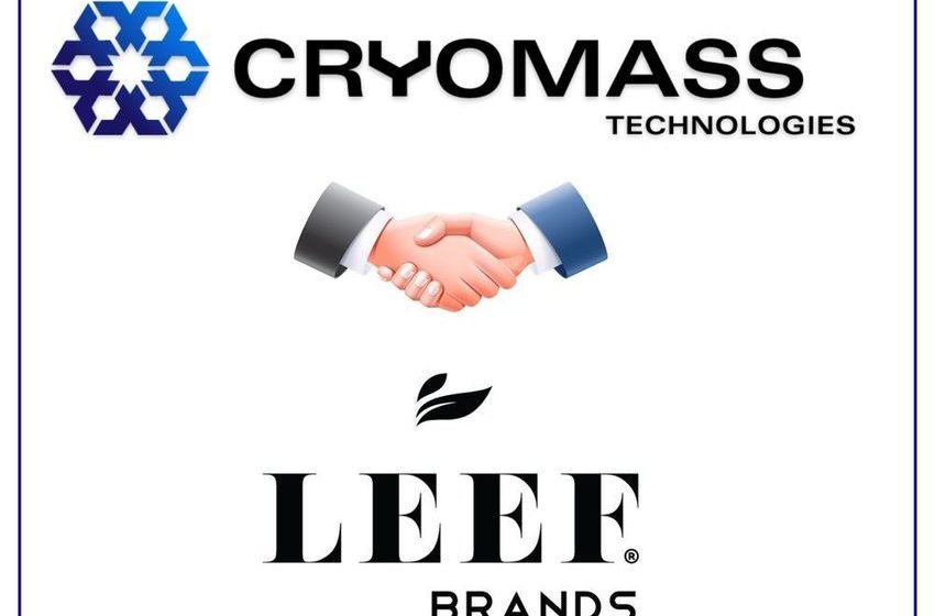  CryoMass Partners with Cannabis Powerhouse LEEF to Deploy Its Cryo Separation Technology