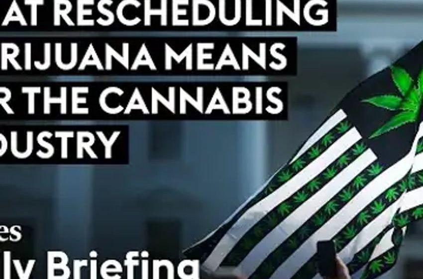  What Rescheduling Marijuana Means For The Cannabis Industry