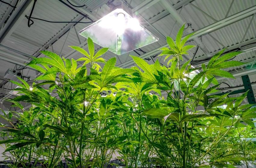  More pot shops in Providence? Here’s the neighborhoods where they could be allowed.