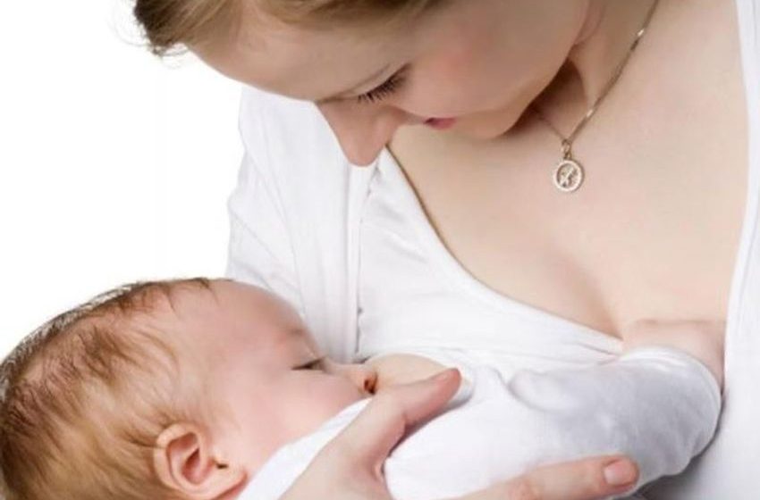 Marijuana THC lingers in breast milk for at least 12 hours
