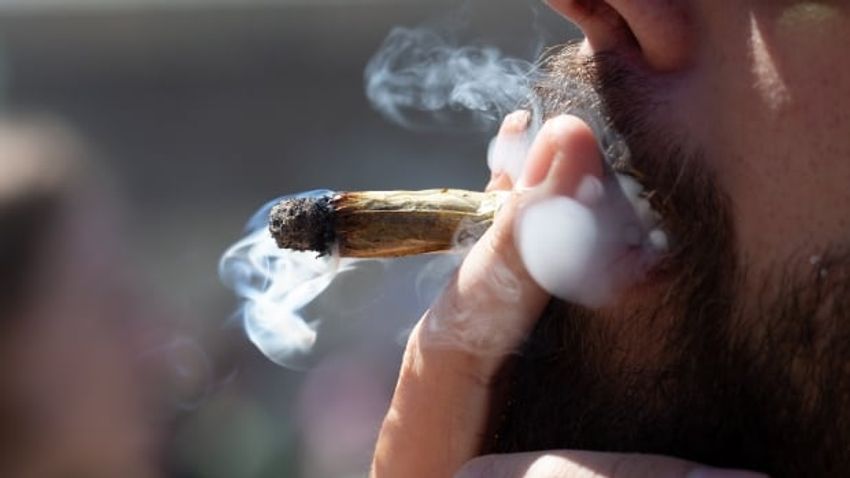  Alberta government appoints expert panel to review effects of cannabis on young brains