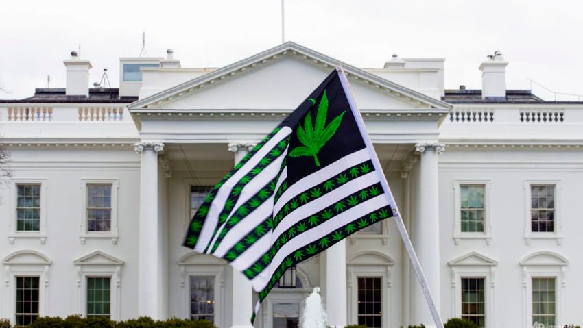 Commentary: US plans to downgrade marijuana to low-risk drug is a regressive step