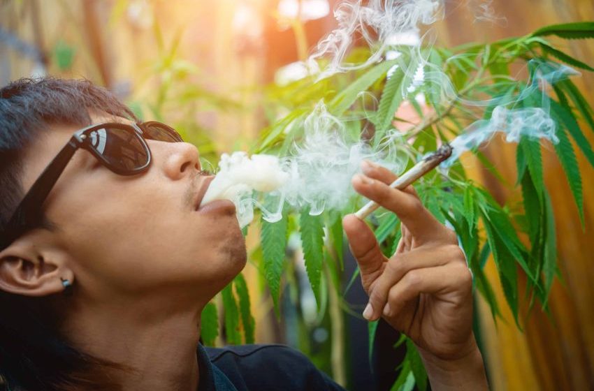 Survey Finds 1 Out of 6 Americans Use Weed, Many for Medical Reasons