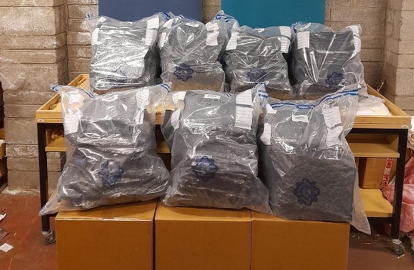 Two men arrested after €1.25 million worth of cannabis seized in Co Kildare