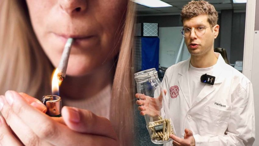 Get Paid To Smoke Pot, in the Name of Science