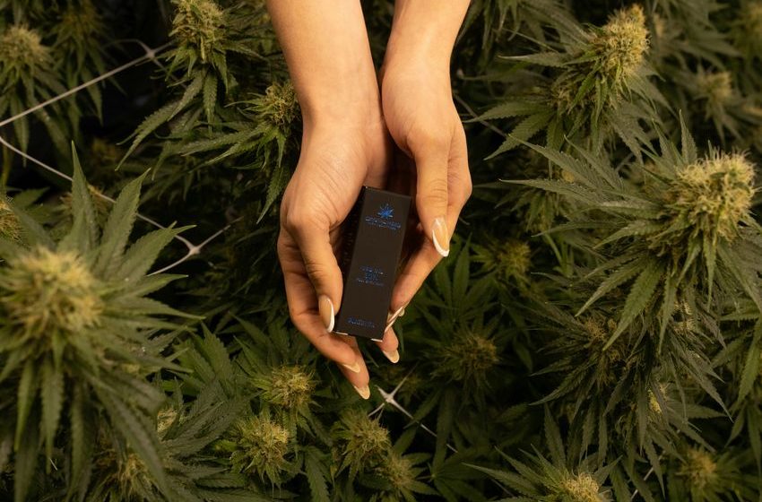  Marketing Cannabis in 2024