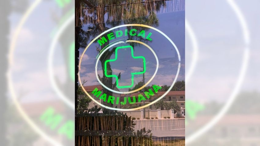  3 more states could see marijuana legalization on November ballots