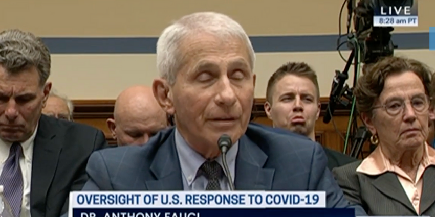  Jan. 6 rioter pulls faces behind Fauci as doctor tells Congress about death threats