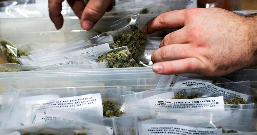  Nationally, legal weed is a successful yet disappointing social movement