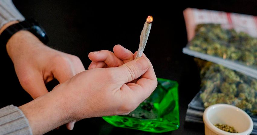 People caught with cannabis three times more likely to be prosecuted than to receive Garda caution