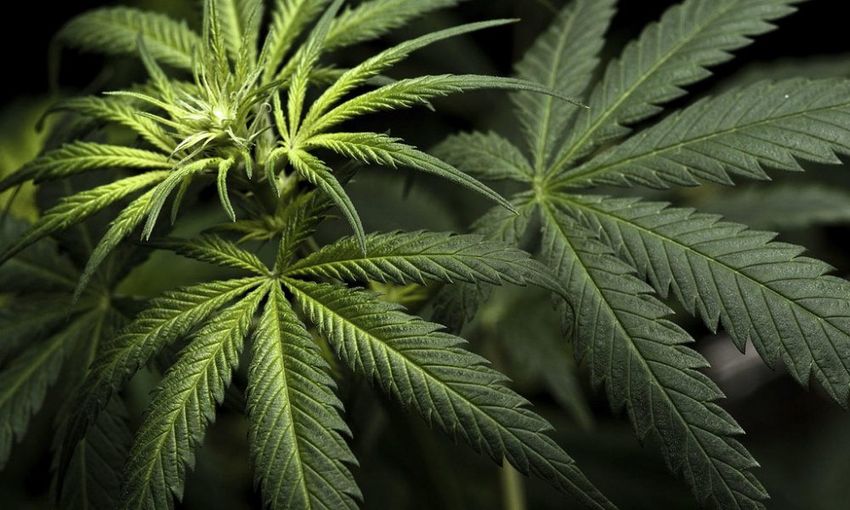  Feds To Weigh 40,000 Marijuana Rescheduling Comments From Governors, Lawmakers, Health Experts And Advocates
