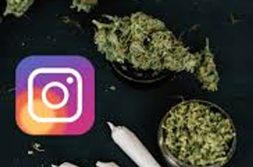  Cannabis and Platforms