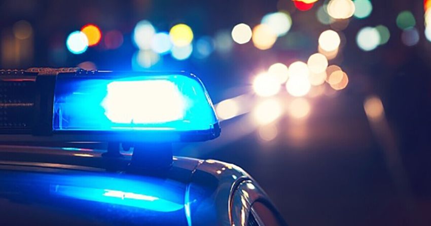  “(Florida Man) had a Taco Bell receipt, a stick of gum, and a Florida ID card that belonged to another man in his hands when they found him. They added that inside his car, they found an open bottle of Crown Royal, fentanyl, and marijuana” [Florida]