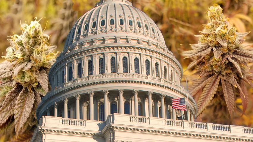  House Lawmakers Vote To Block Federal Marijuana Rescheduling