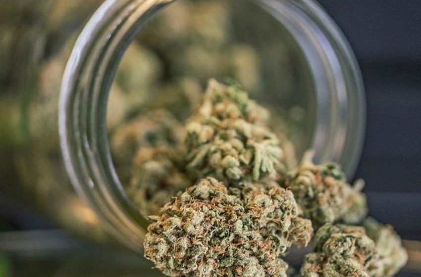 Man used cannabis to treat his ADHD but now finds the drug agitates him, court hears