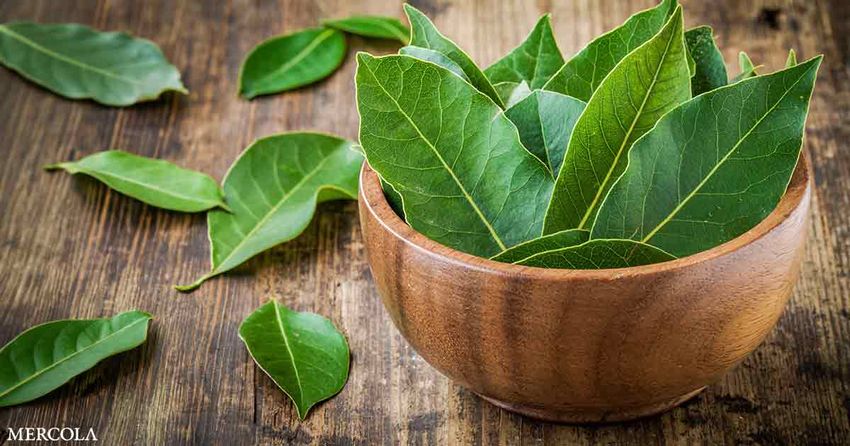 Are Bay Leaves Good for You?