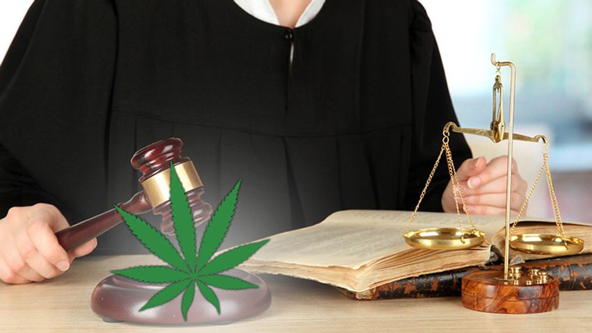 DEA Administrator Announces Intent to Hold Hearings on Marijuana’s Scheduling