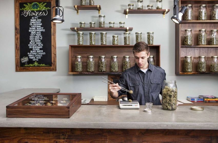 Cannabis Stocks Slide as DEA Sets Post-Election Marijuana Hearing in December