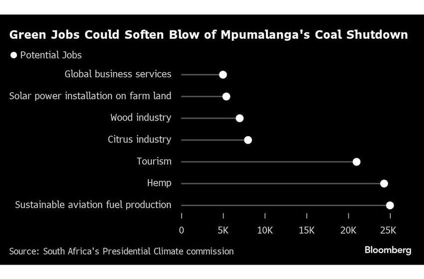 Citrus, Marijuana May Replace Vanishing South African Coal Jobs