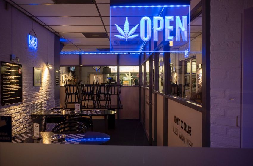  Twenty-six states may soon need to regulate cannabis—here’s what they can learn from Colorado and Washington