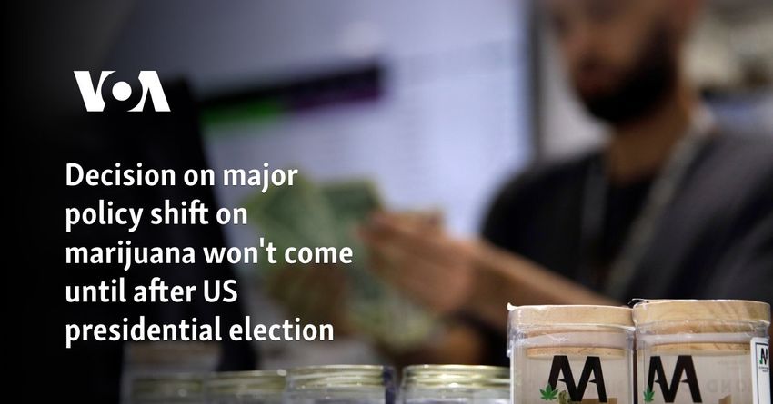 Decision on major policy shift on marijuana won’t come until after US presidential election