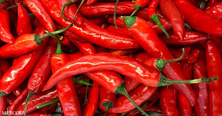 Hot Chilies Can Cool Gut Inflammation
